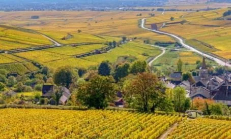 Bourgogne